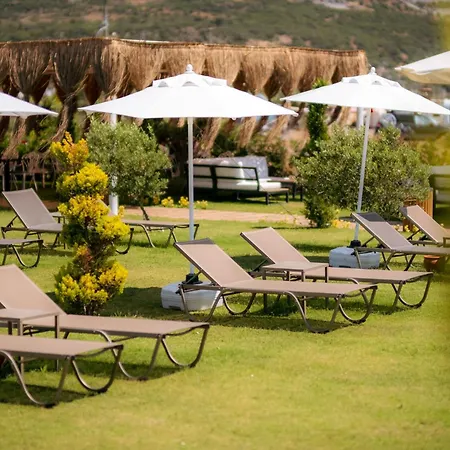 Assos Troy Ayvacik (Canakkale)