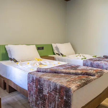 Assos Troy Hotel 3*