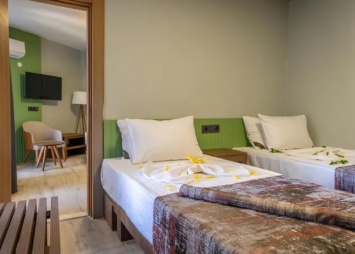 Ξενοδοχείο Assos Troy Ayvacik (Canakkale)