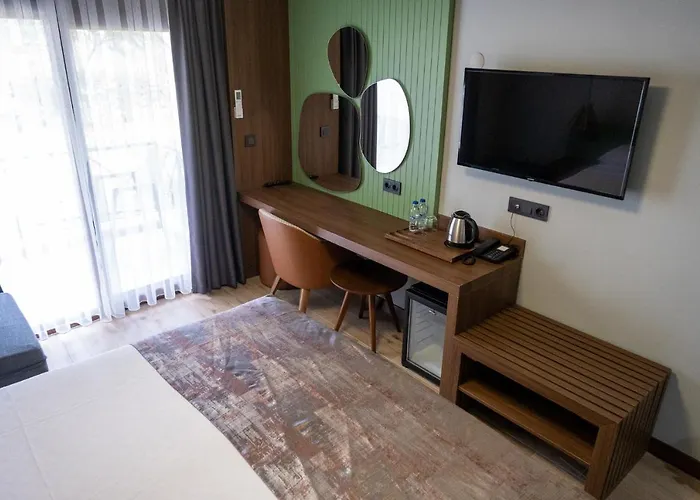 Ξενοδοχείο Assos Troy